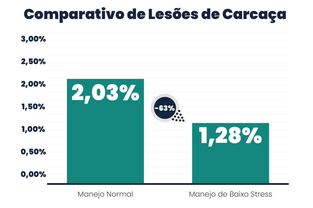 gráfico comparativo de lesões de carcaça
2,03% no manejo normal vs. 1,28% no manejo de baixo stress